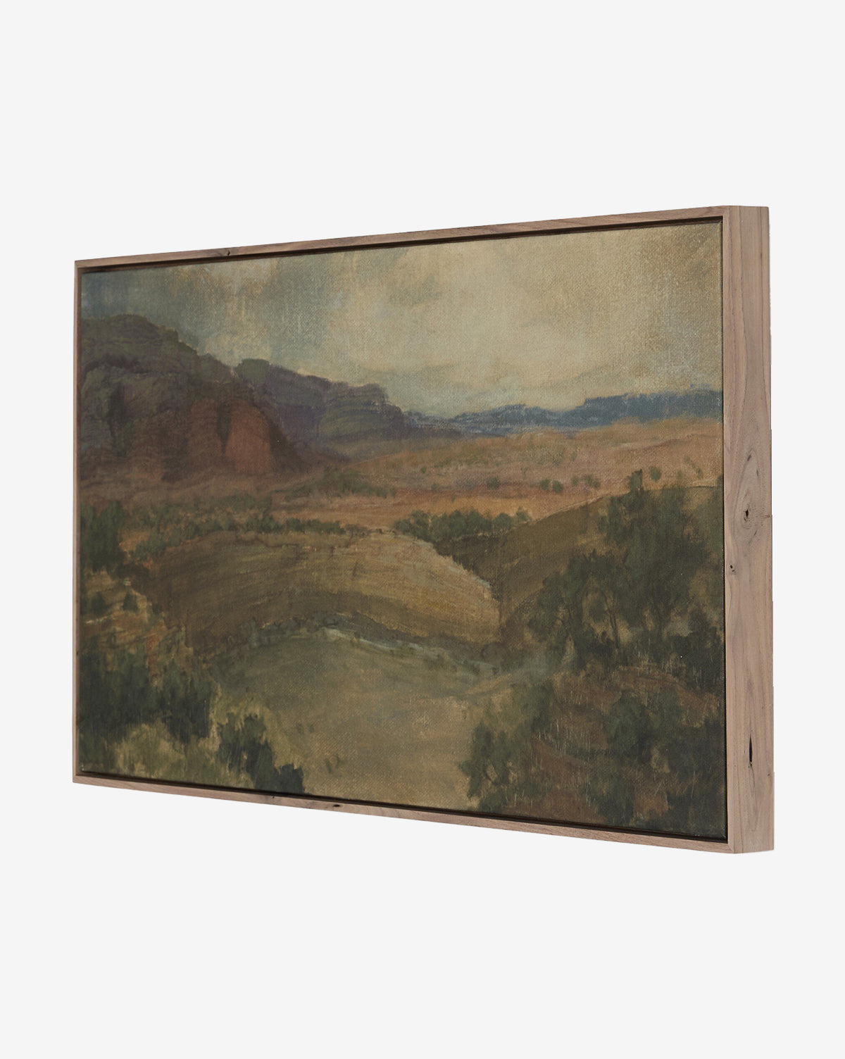 Desert Hues II par Aileen Fitzgerald