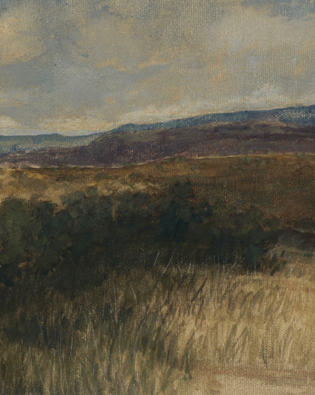 Desert Hues I par Aileen Fitzgerald