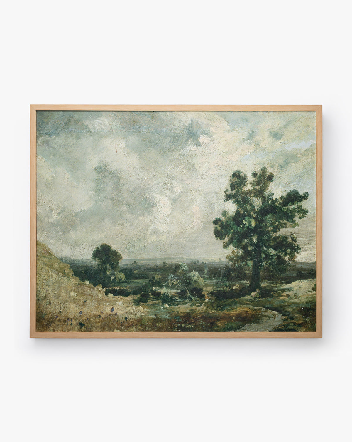 Prairies anglaises