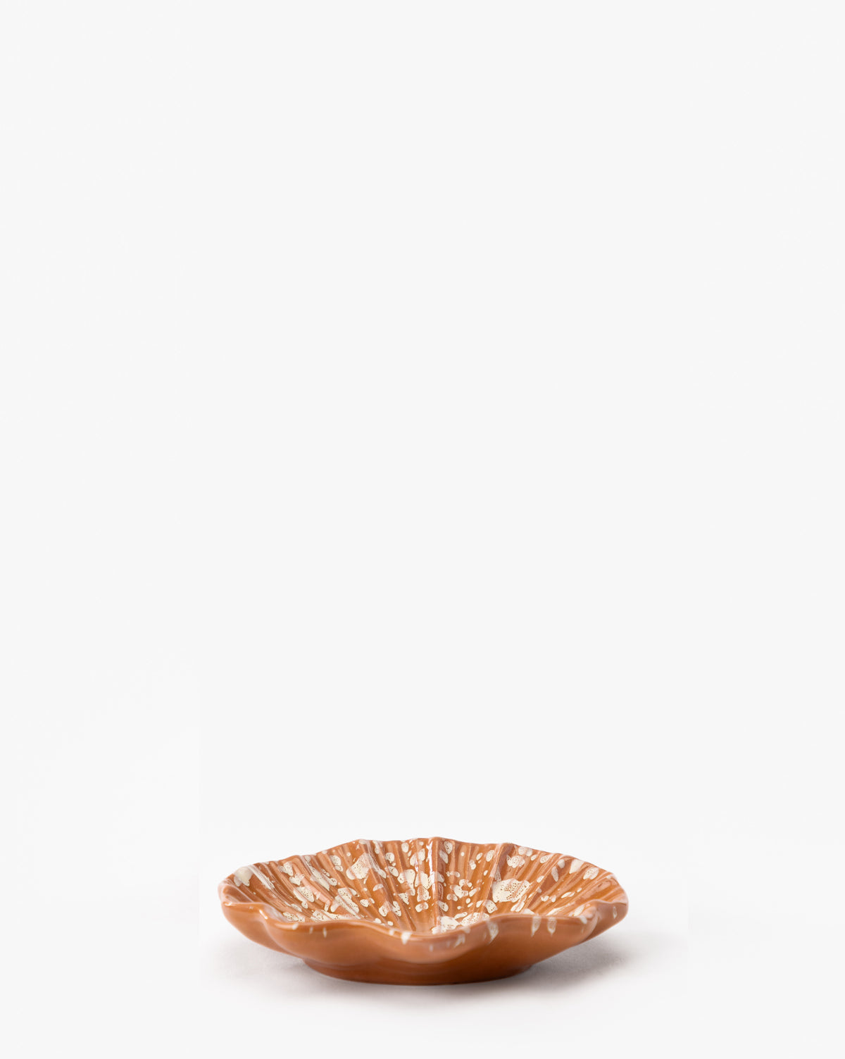 Plat à coquillages éclaboussés