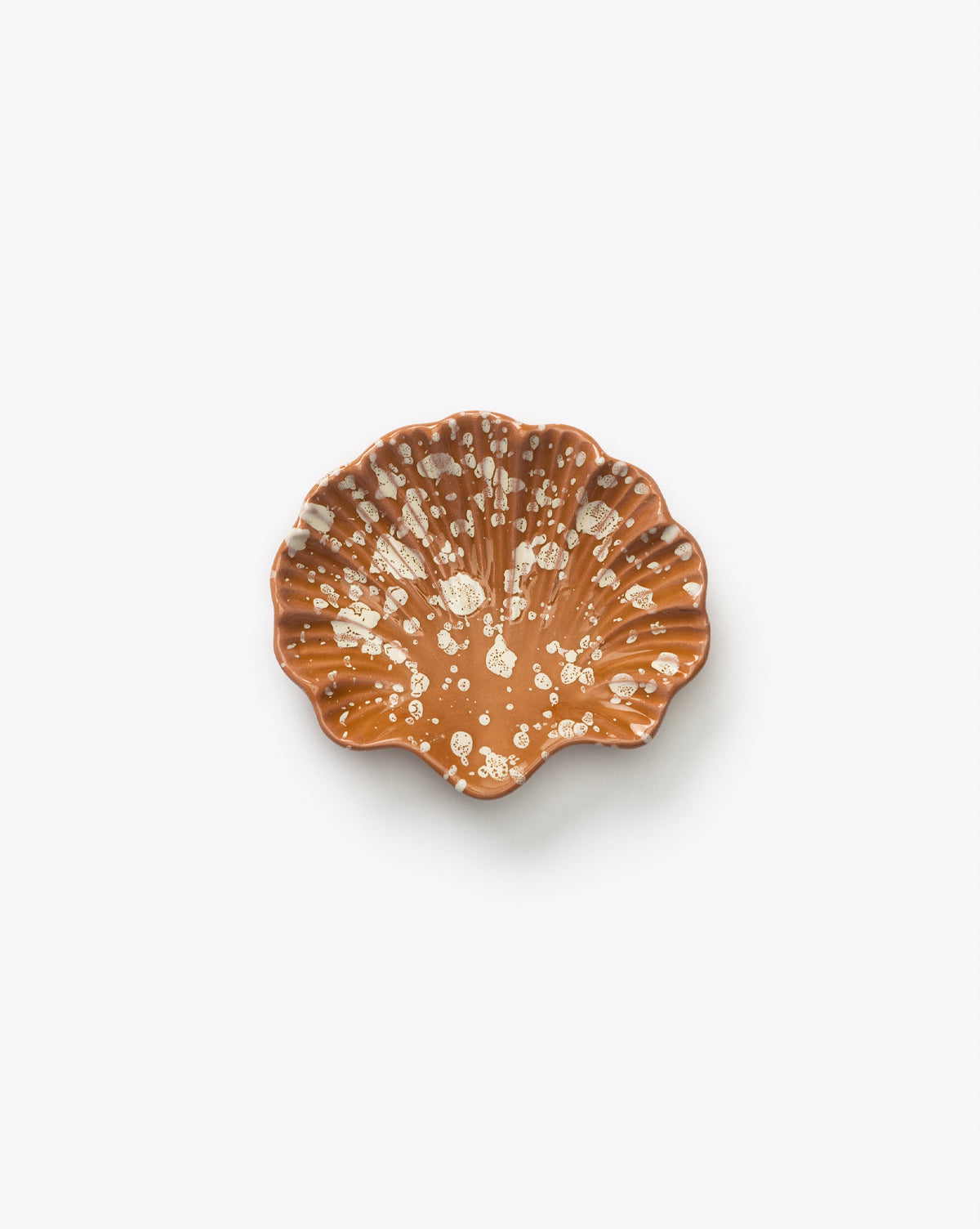Plat à coquillages éclaboussés
