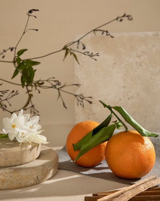 Recharge de parfum d'ambiance Pura x Studio McGee Jasmin Chèvrefeuille