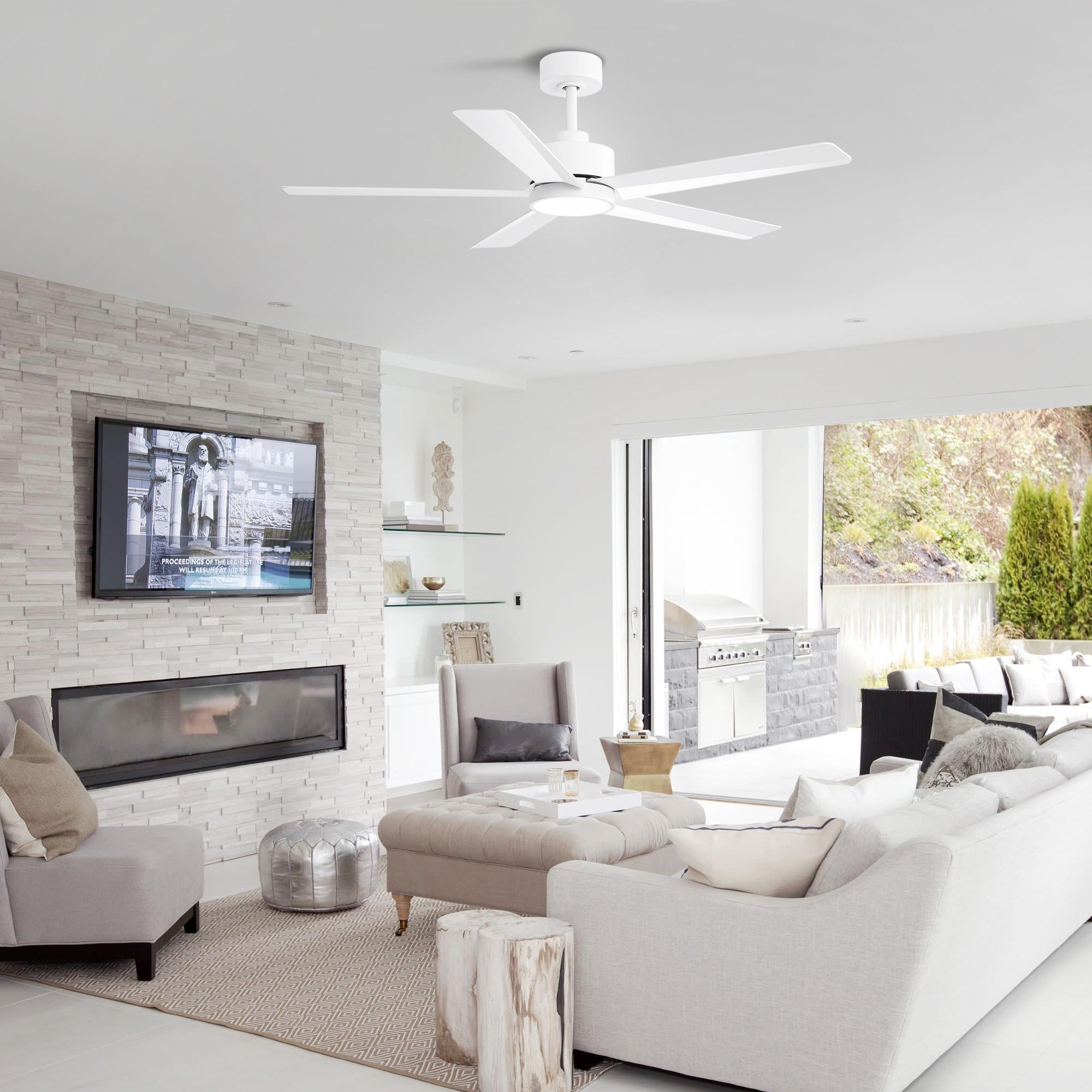 Breezary 65/52/42 5-Blade LED Ceiling Fan with Light Kit and Remote