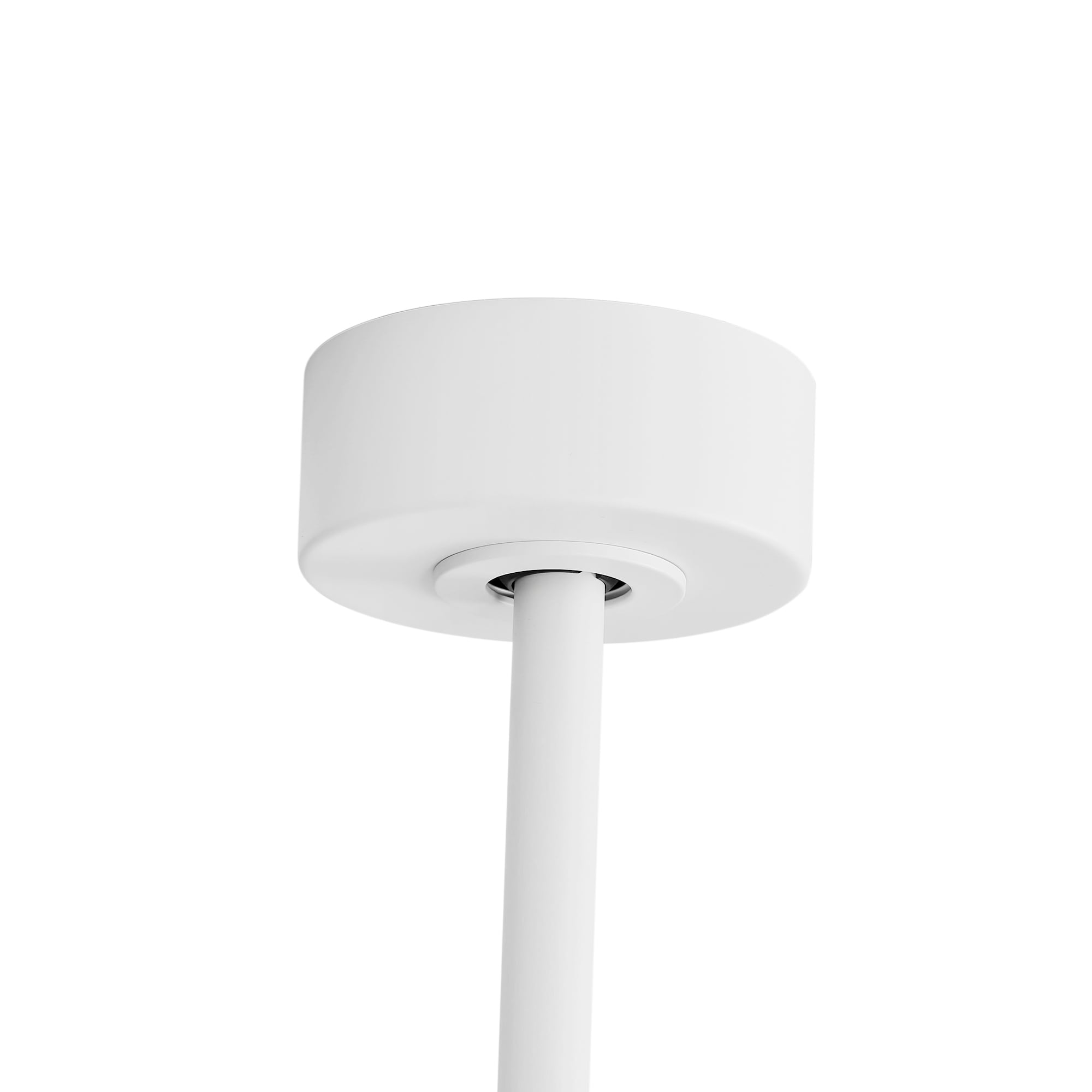 Breezary 65/52/42 5-Blade LED Ceiling Fan with Light Kit and Remote