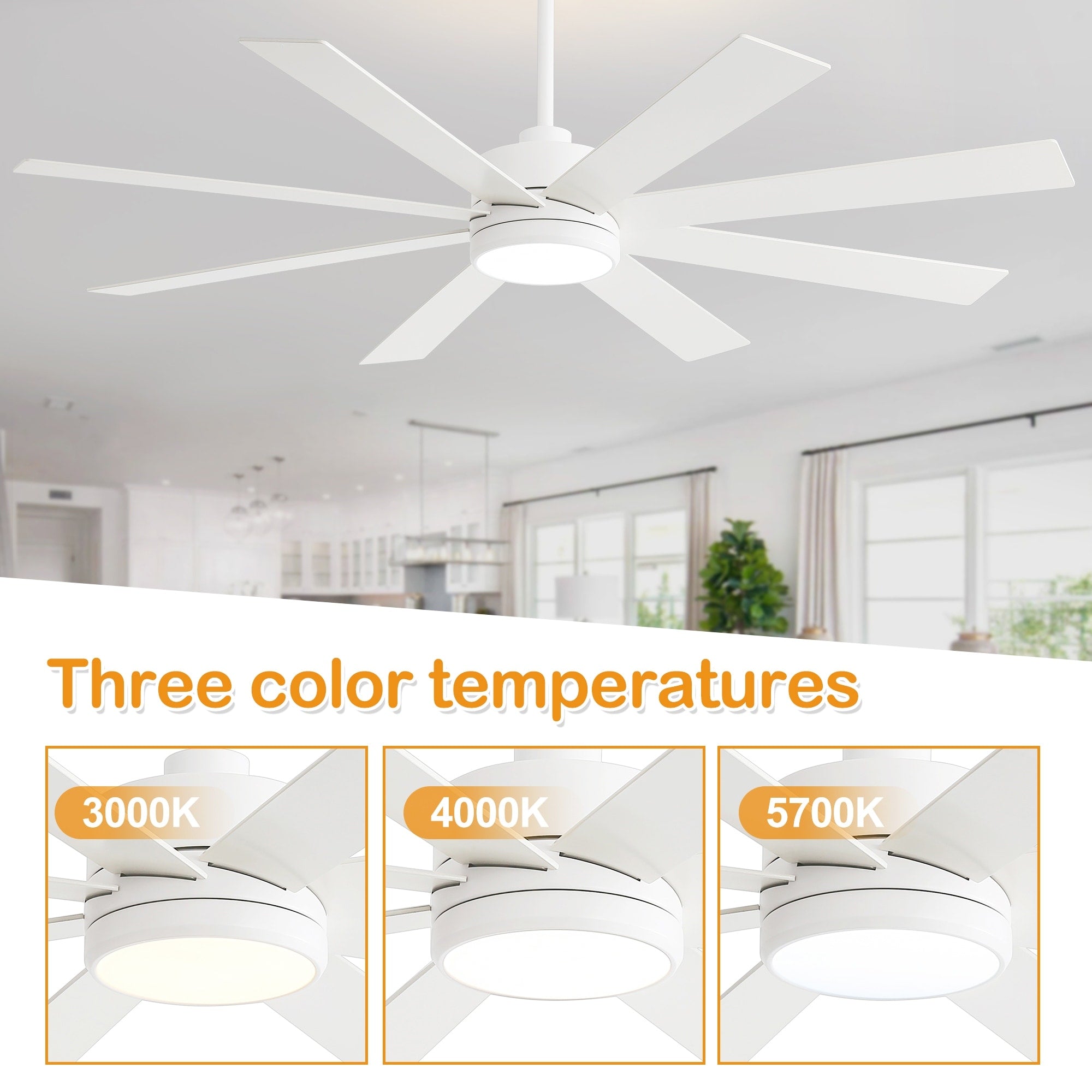 65 Inch 8-Blade Black LED Ceiling Fan with Light and Remote