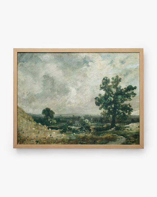 Prairies anglaises