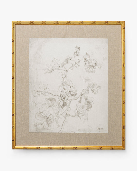 Floral plumeux