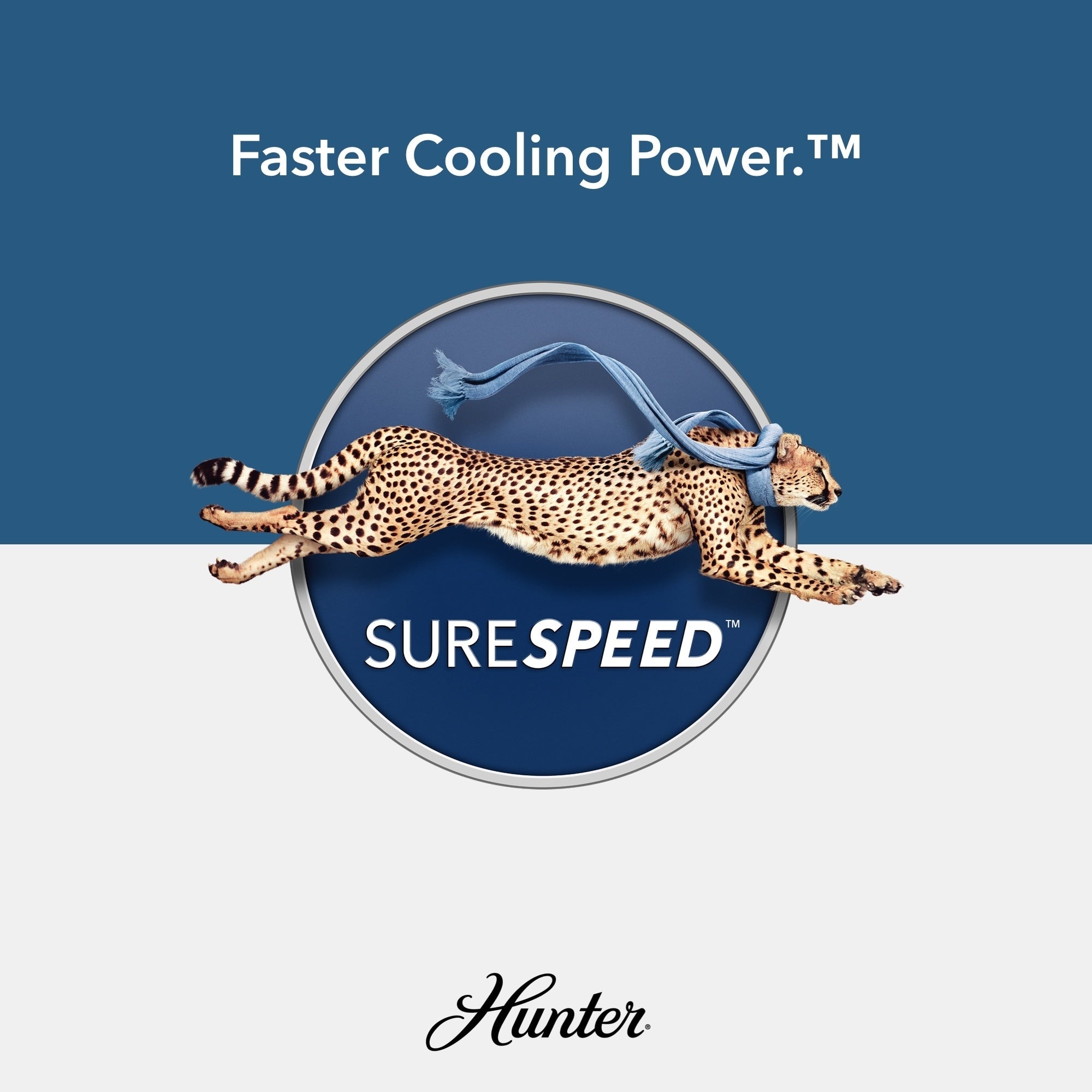 Hunter 52 Shorebreak WeatherMax Indoor / Outdoor Ceiling Fan w/ Wall Control - Extreme Weather, Salt & Corrosion-Resistant