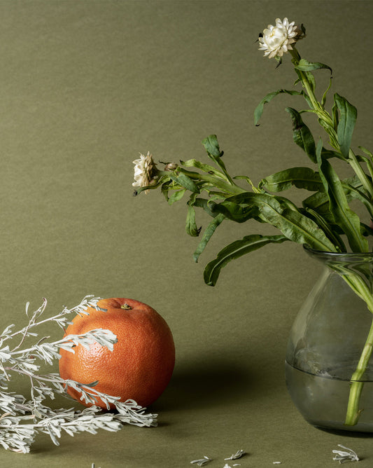 Recharge de parfum d'ambiance Pura x Studio McGee Wild Sage